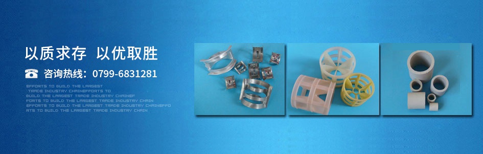 山東岱東人力資源管理有限公司 