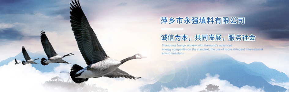 山東岱東人力資源管理有限公司 